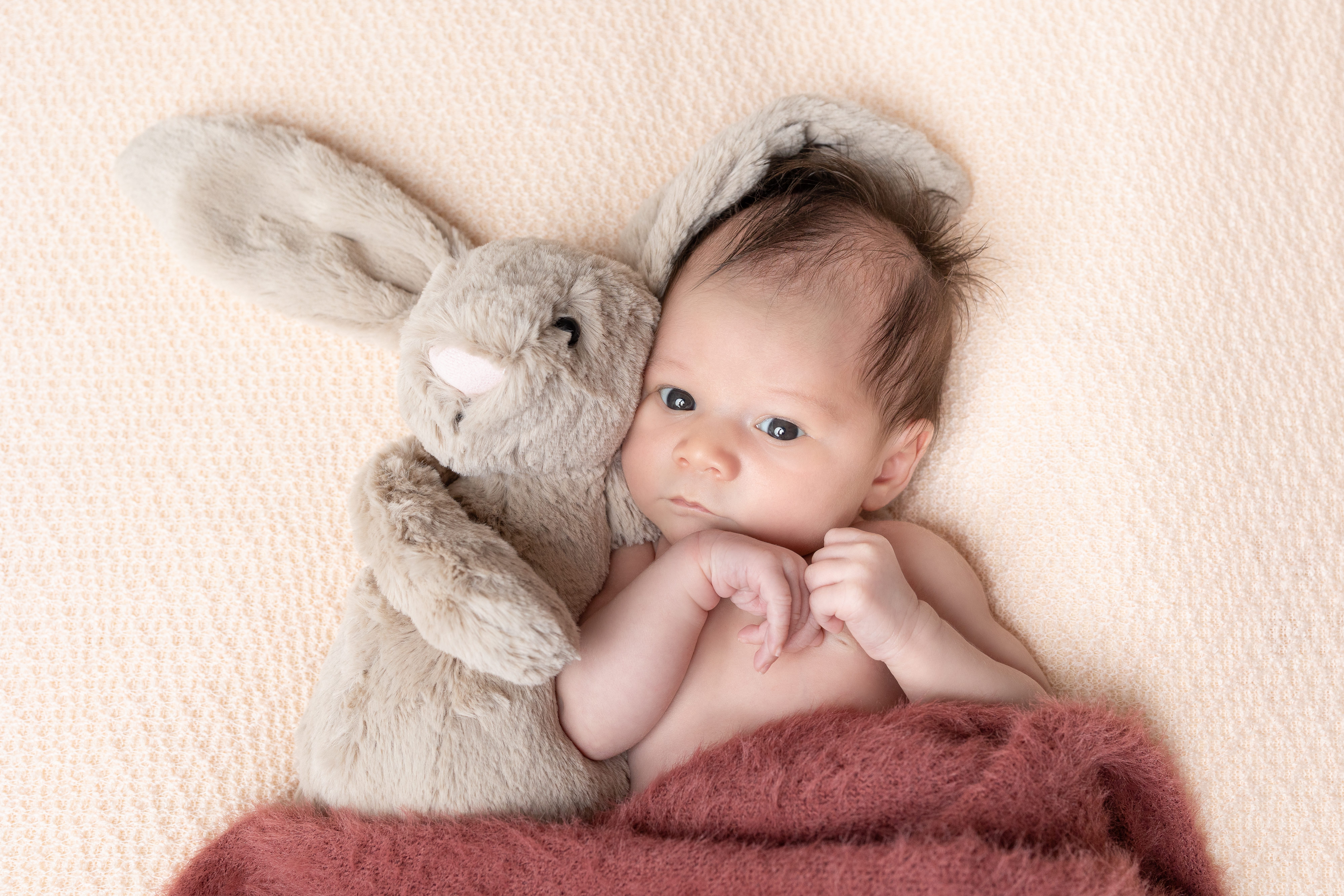 Séance photo naissance réalisée en studio à Paris – nouveau-né avec peluche